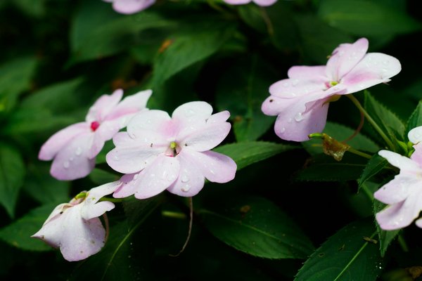 Votre crédit immobilier et les impôts